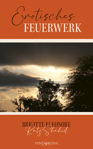 Buch Cover: Erotisches Feuerwerk